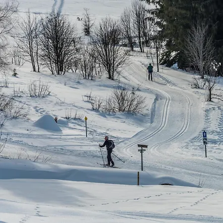 Jaegerhof Bernau im Schwarzwald