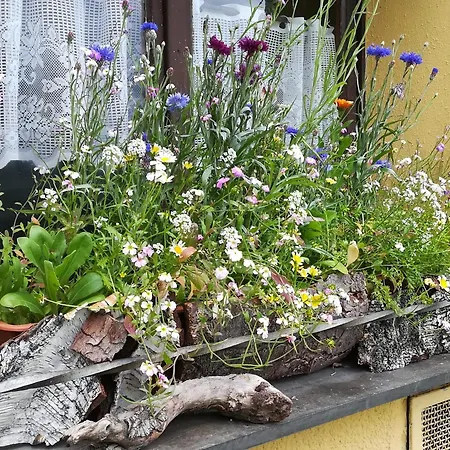 Jaegerhof Guest house Bernau im Schwarzwald